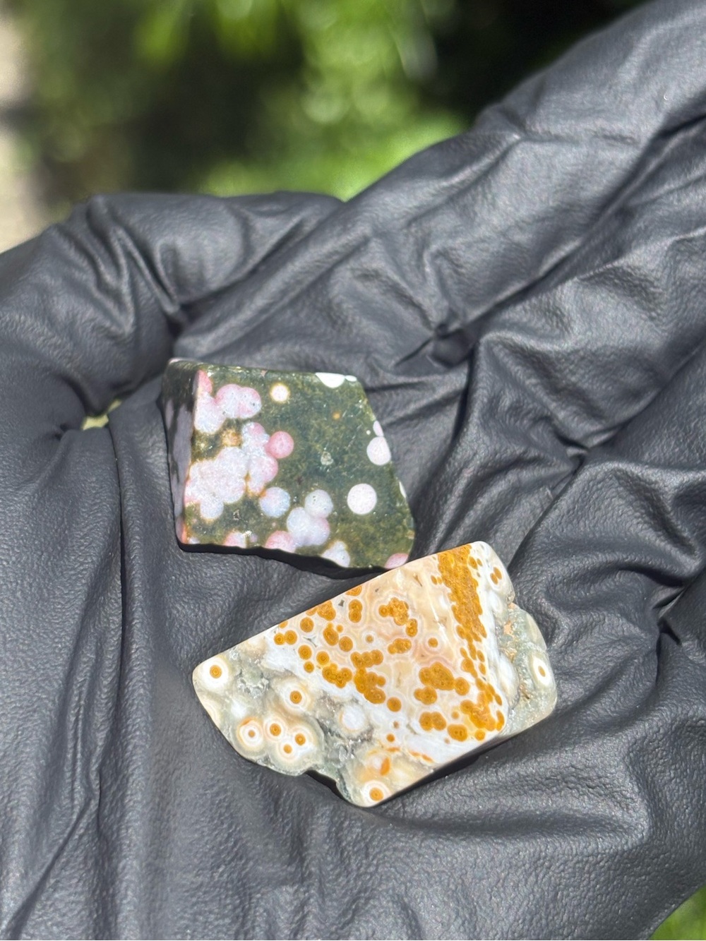 Ocean Jasper Crystal Tumble Set - Sea Jasper Bundle - Orbicular Jasper